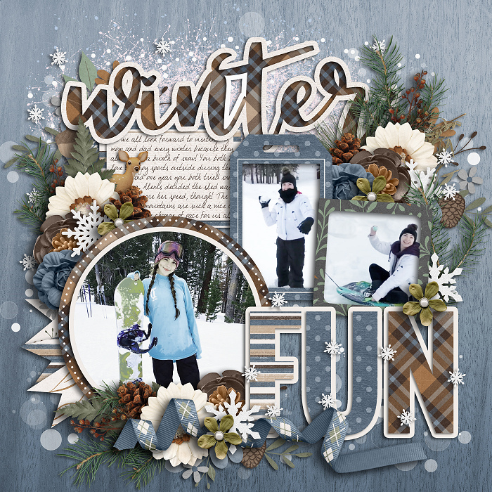 Winter Fun