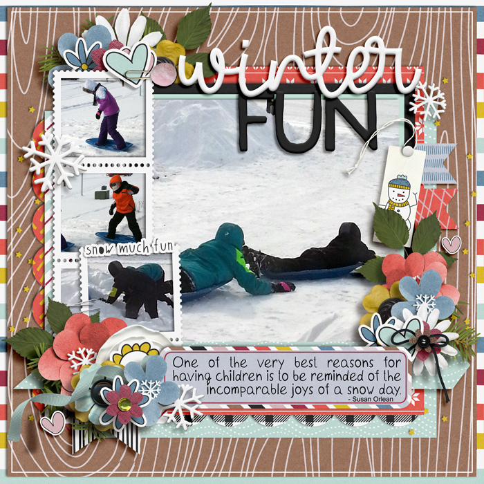 Winter Fun