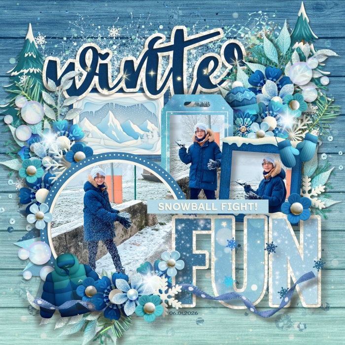 Winter Fun
