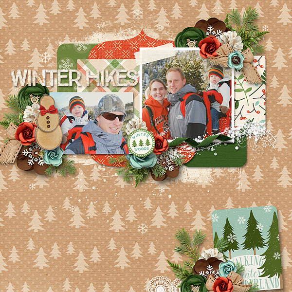 winter hikes
