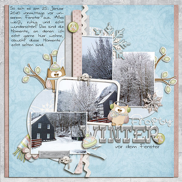 Winter in front of the window
