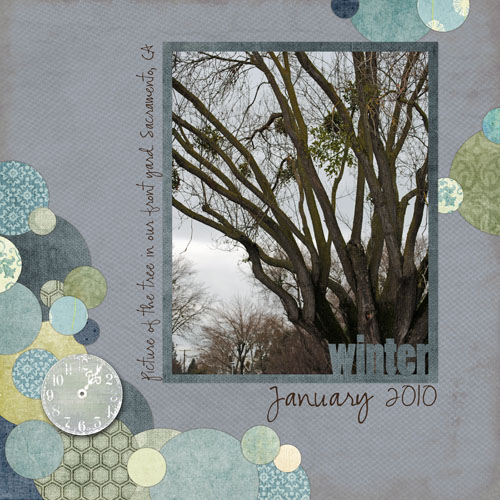 Winter January 2010