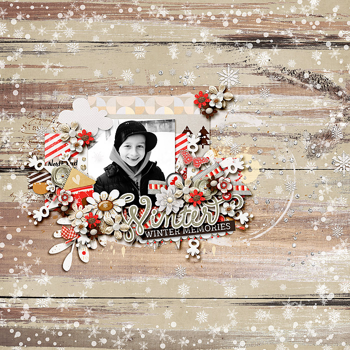 Winter Memories