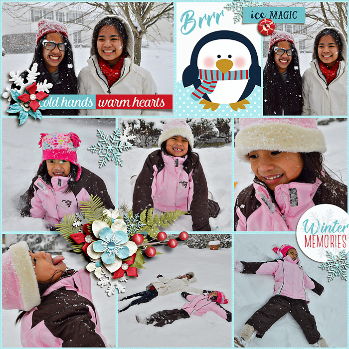 Winter Memories