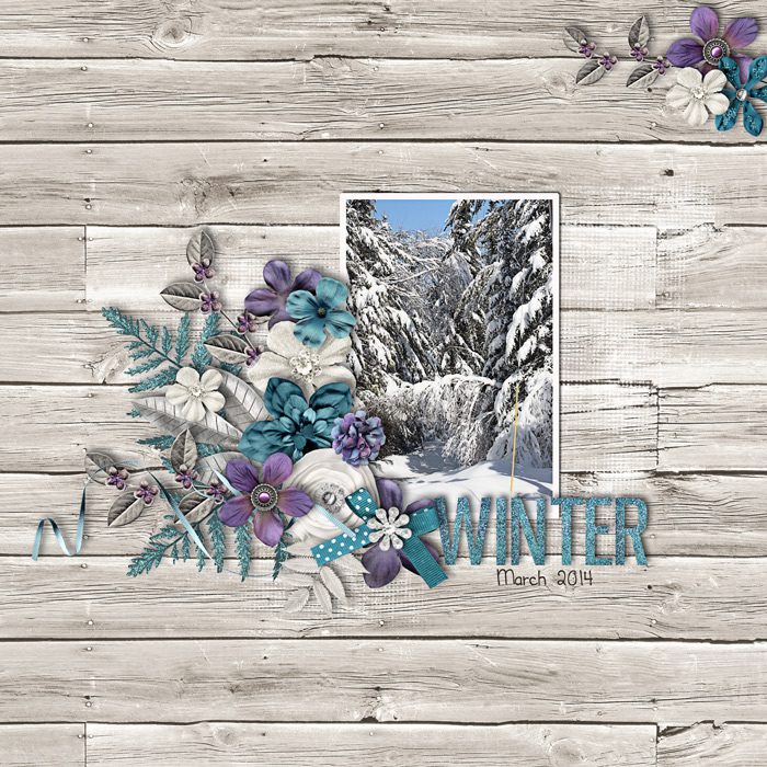 Winter - N18 Challenge
