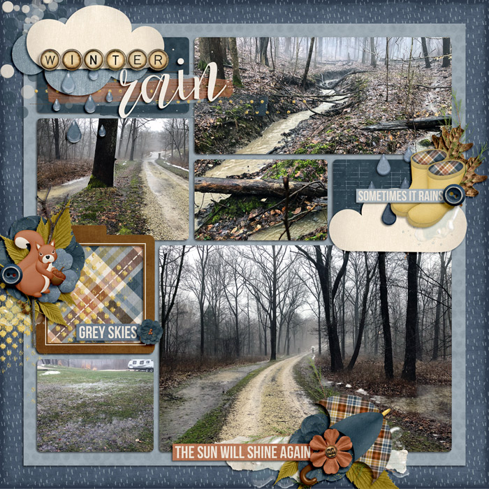 Winter Rain Left