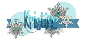 Winter Siggy