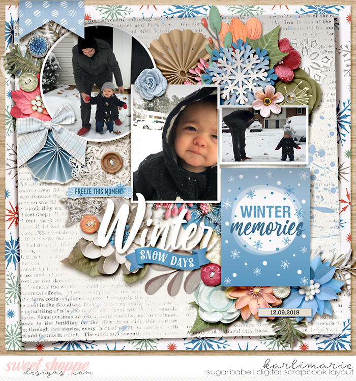 Winter Snow Days