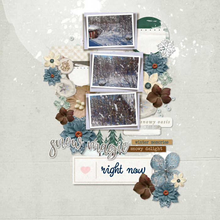 Winter: snow