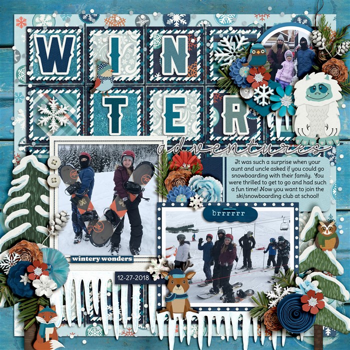 Winter Snowboarding 2018