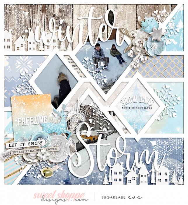 winter storm