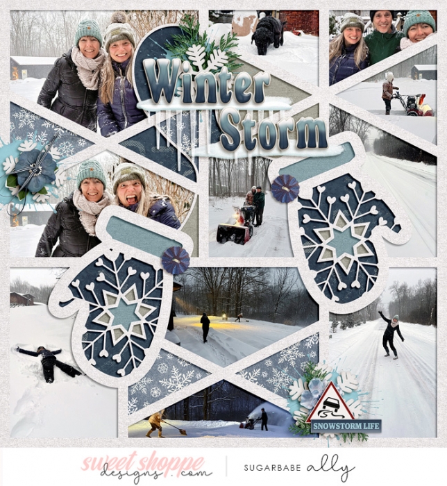 Winter Storm
