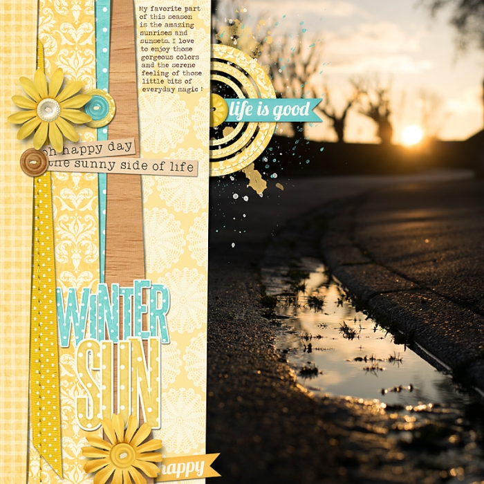 Winter Sun
