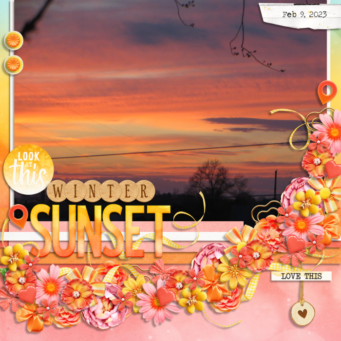 Winter Sunset