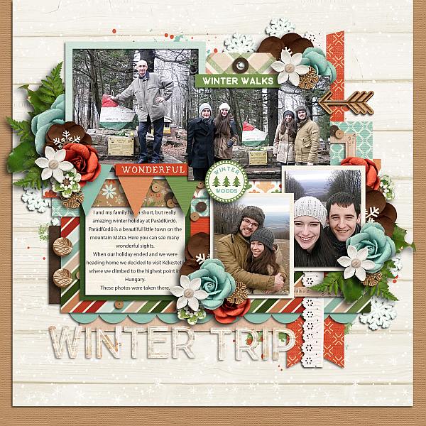 Winter trip