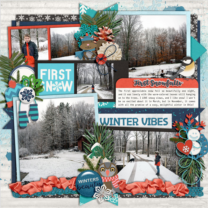 Winter Vibes