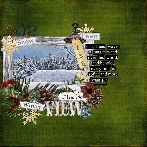 Winter View