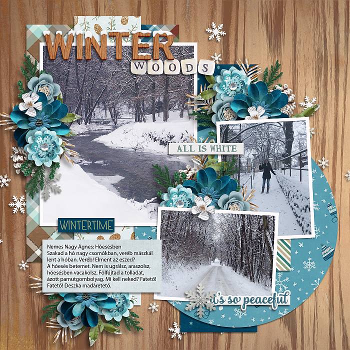 Winter walk