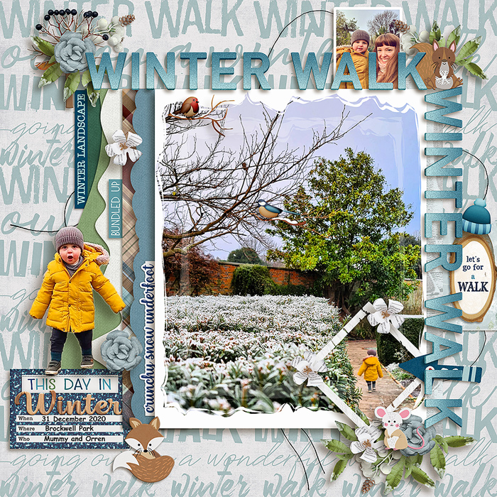 Winter Walk