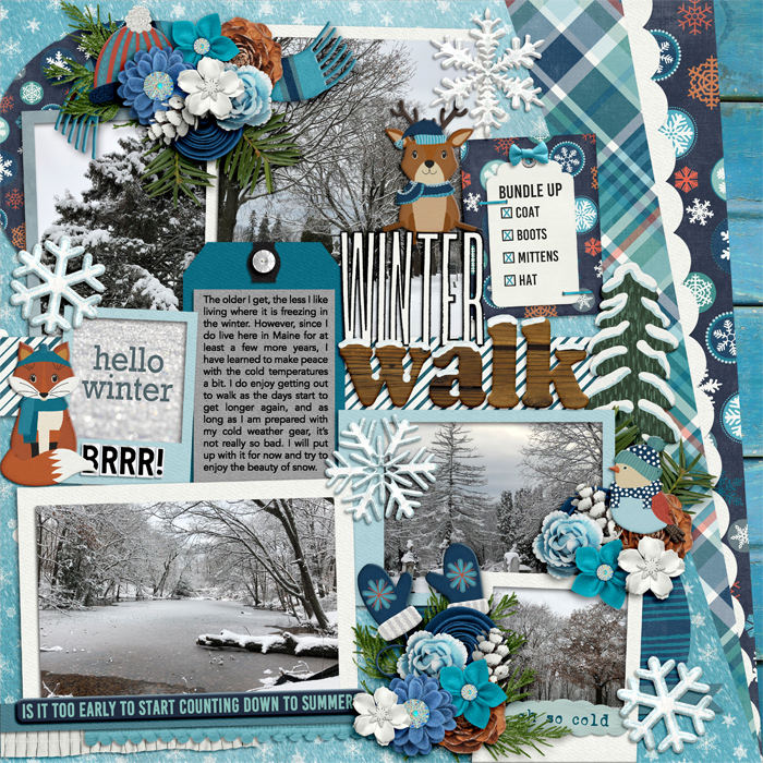 Winter Walk