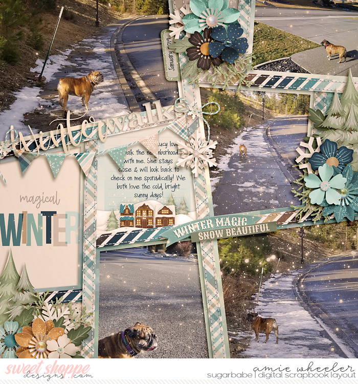 Winter Walks
