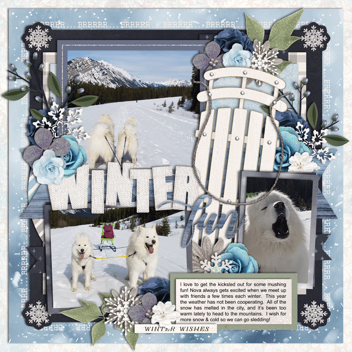 Winter Wish (PGAD Make a Wish)
