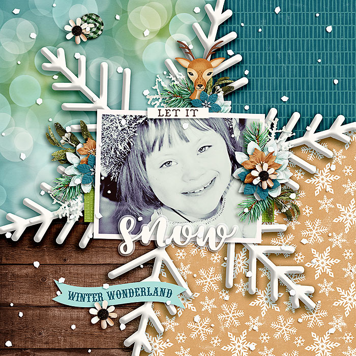 Winter Wonder