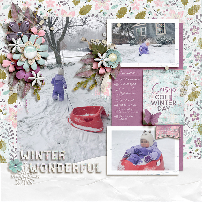 Winter Wonderful