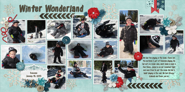 winter wonderland dman 2013
