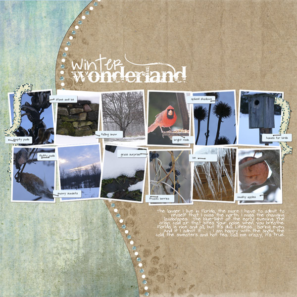 Winter Wonderland