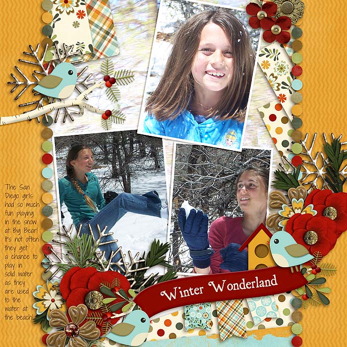 Winter Wonderland