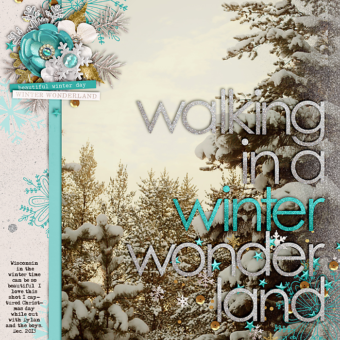 Winter Wonderland