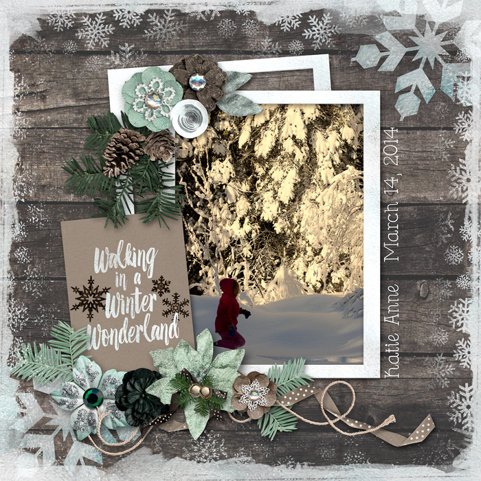 Winter Wonderland