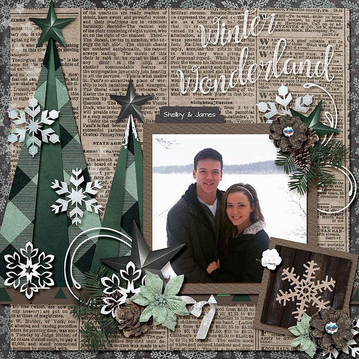Winter Wonderland