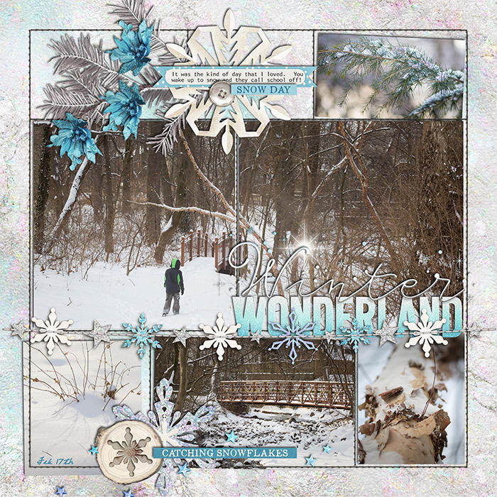 Winter Wonderland