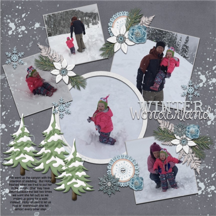 winter wonderland