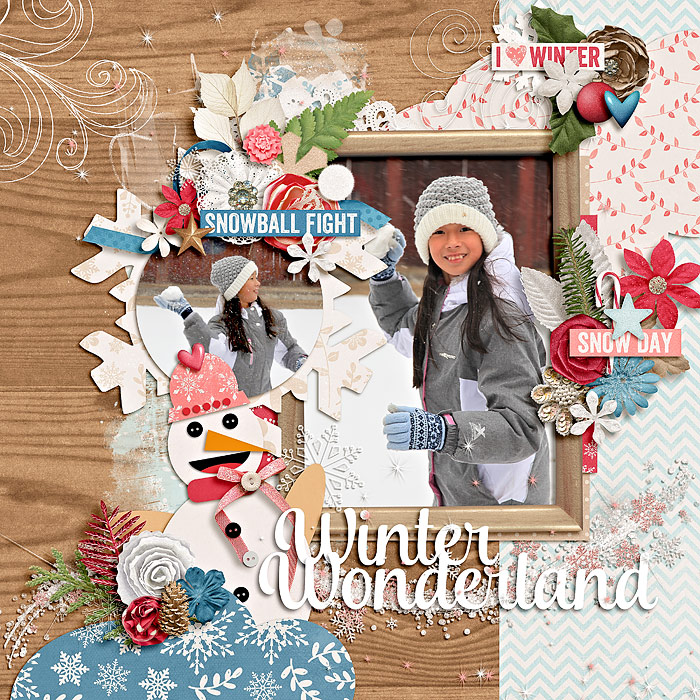 winter wonderland