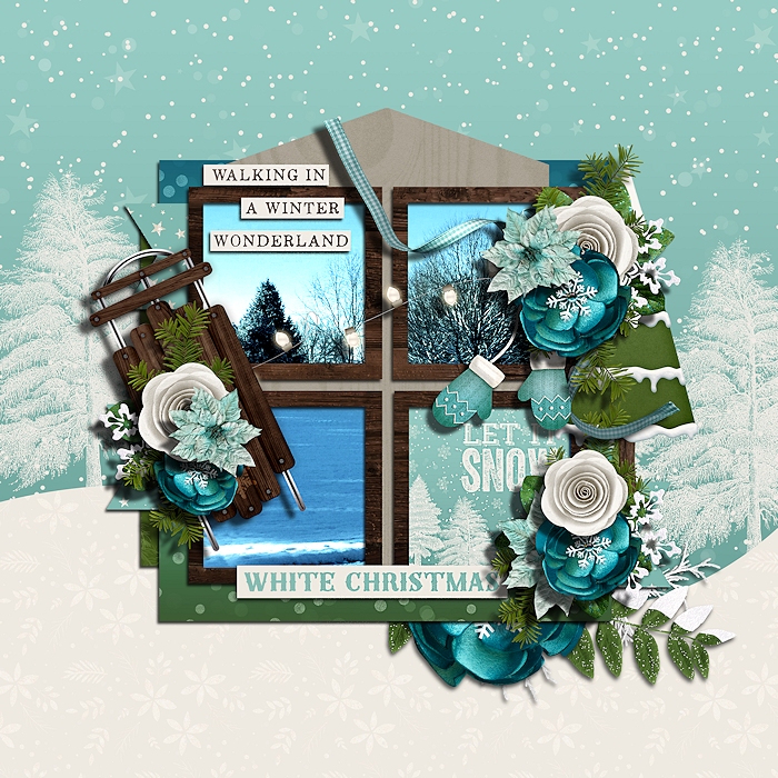 winter wonderland