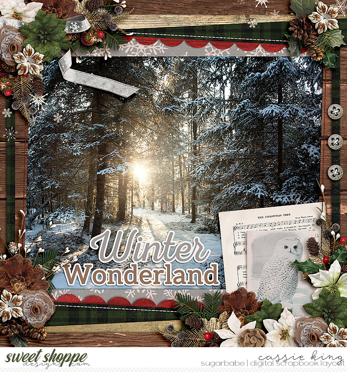 Winter wonderland