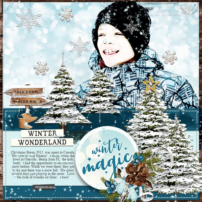 Winter Wonderland