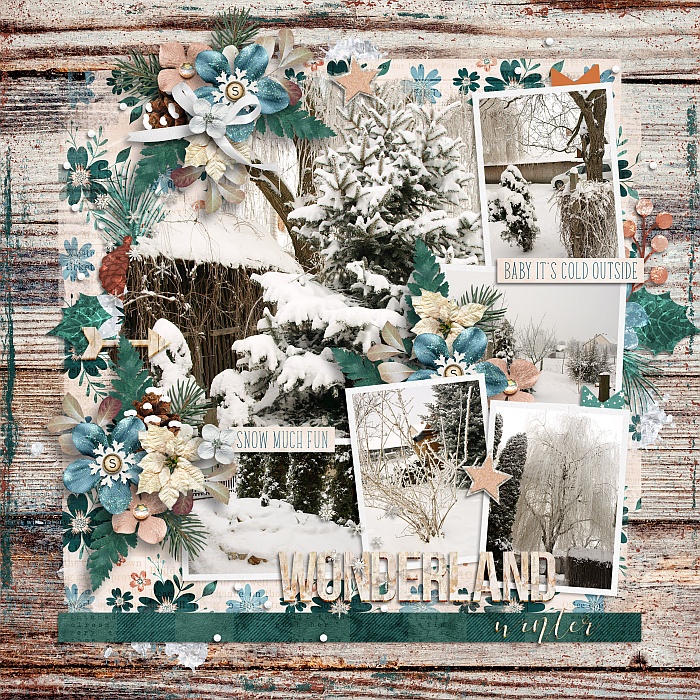 Winter wonderland
