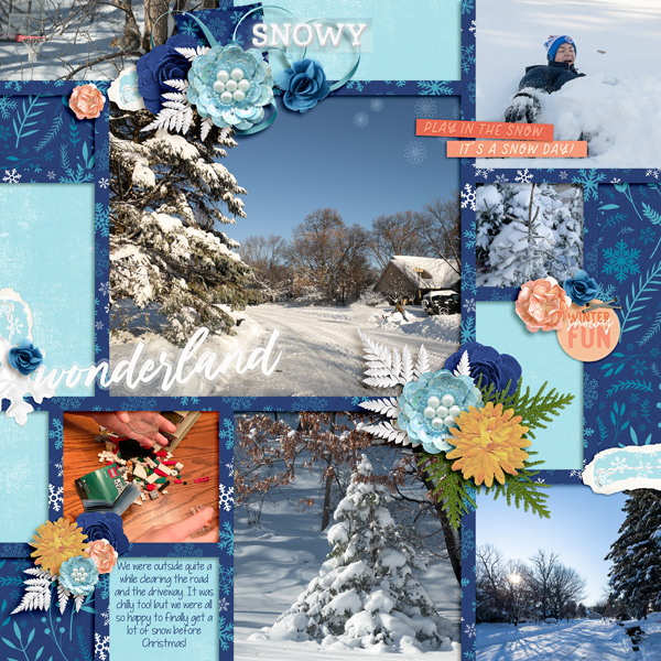 winter wonderland