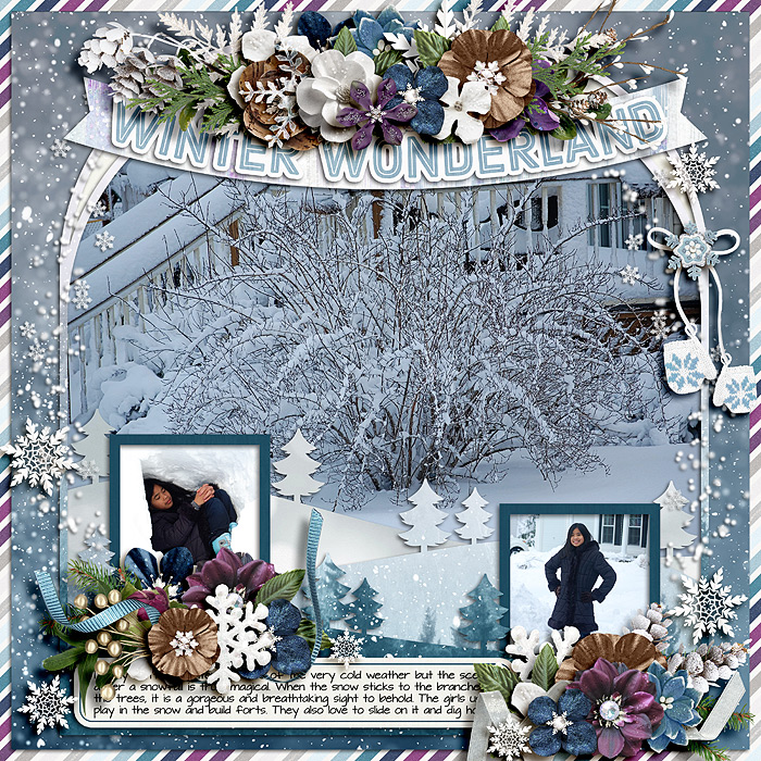 Winter Wonderland