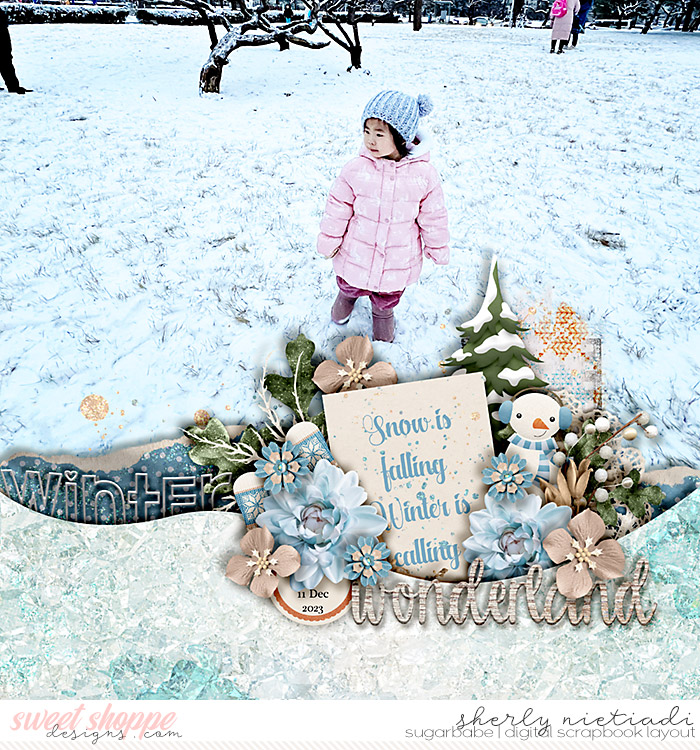 winter wonderland