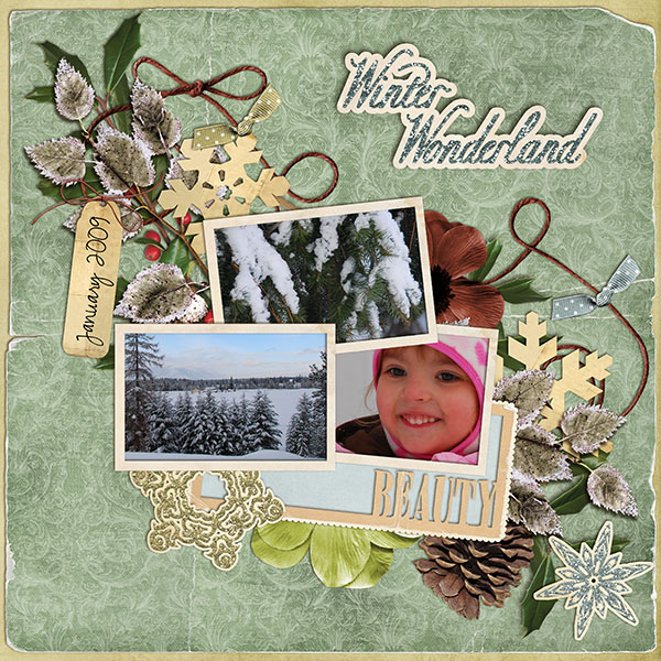 Winter Wonderland