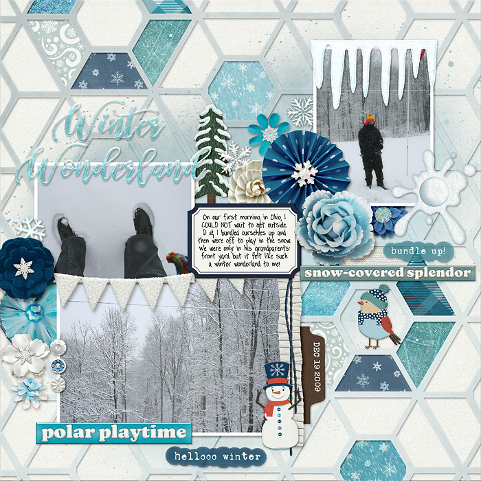 winter wonderland