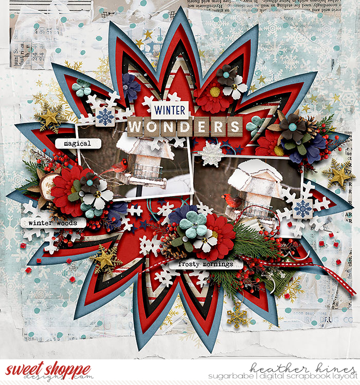 Winter Wonders