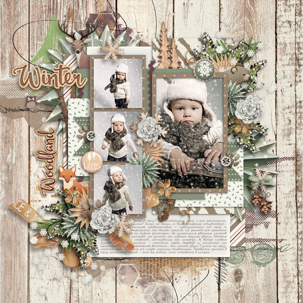Winter woodland-1