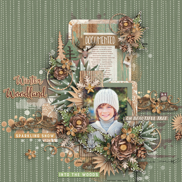 Winter Woodland-2