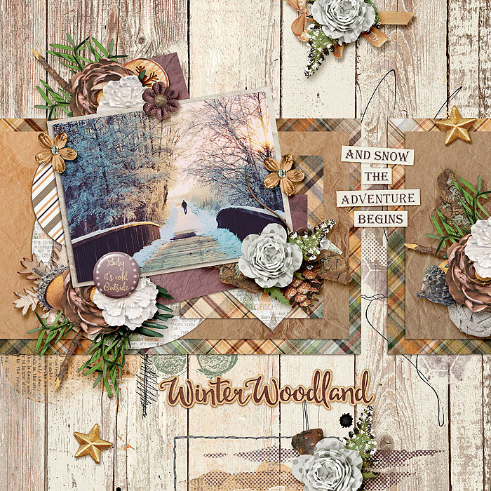 Winter Woodland